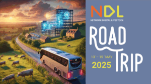 NDL Roadtrip Titleimage